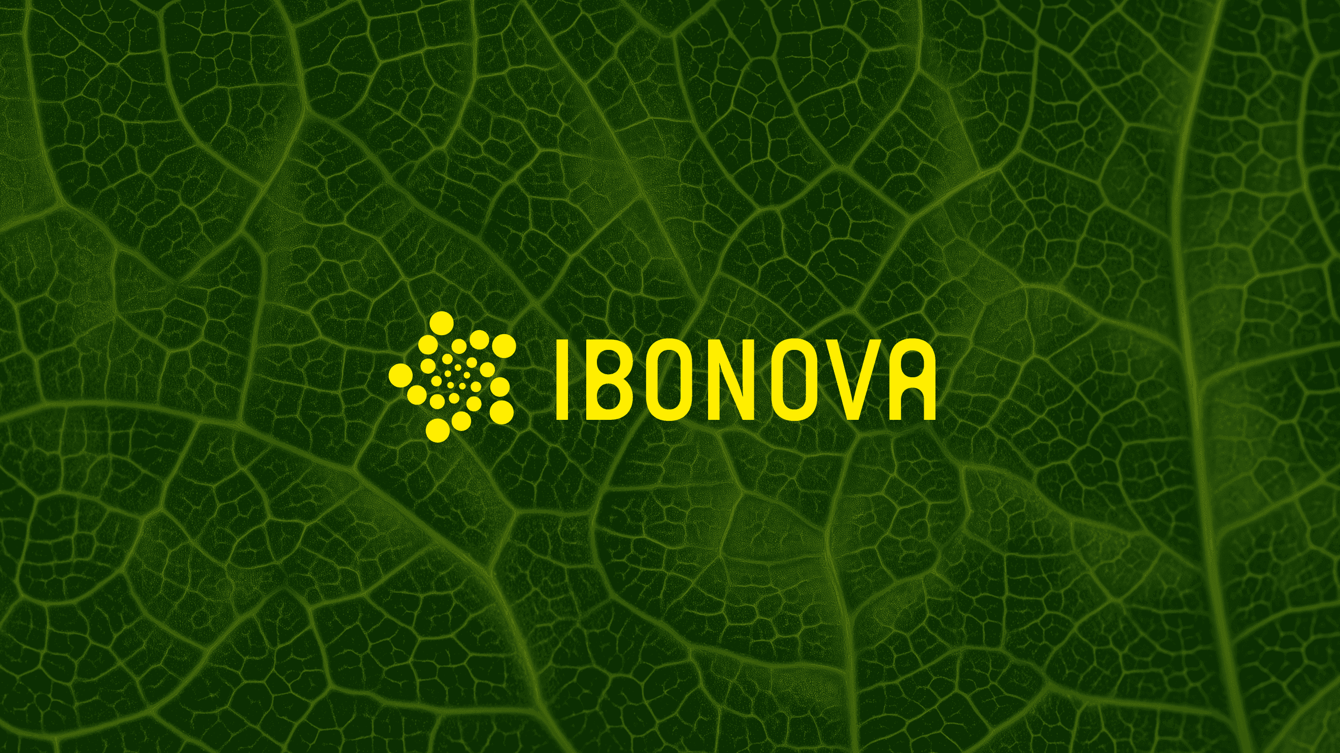 Ibonova project image